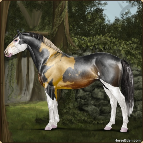 genpic.php?id=43007360&bg=79&decor=Y&v=2