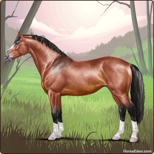 genpic.php?id=43031369&bg=79&decor=Y&v=2