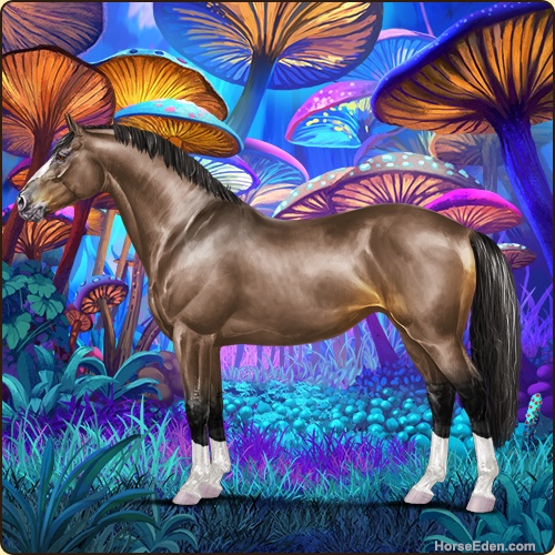 genpic.php?id=43031375&bg=79&decor=Y&v=2