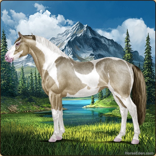 genpic.php?id=43031377&bg=79&decor=Y&v=2