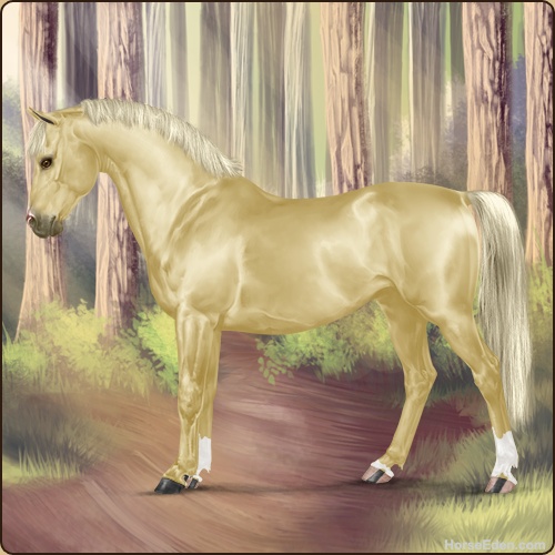 genpic.php?id=43316180&bg=79&decor=Y&v=8