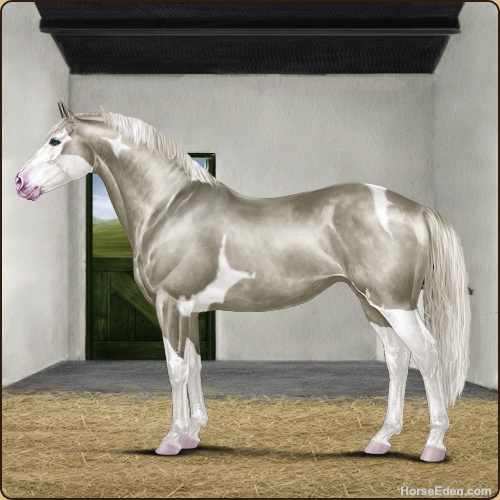 genpic.php?id=43443895&bg=79&decor=Y&v=18