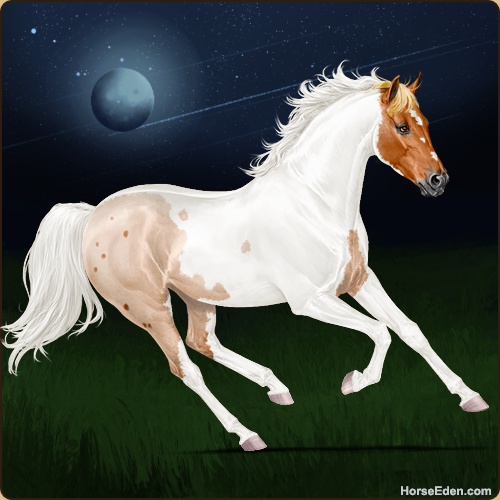 genpic.php?id=43466116&bg=79&decor=Y&v=14