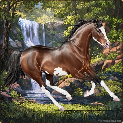 genpic.php?id=43738845&bg=79&decor=Y&v=1