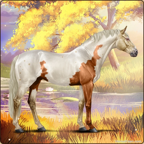 genpic.php?id=43077852&bg=85&decor=Y&v=32