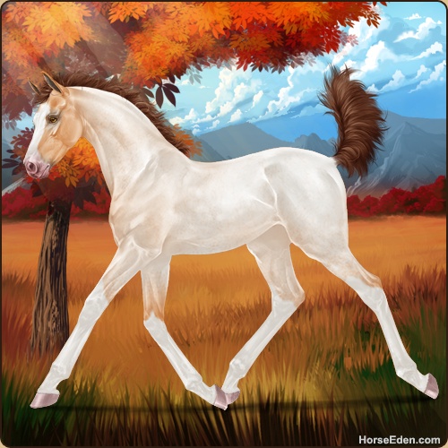 genpic.php?id=41164038&bg=95&decor=Y&v=1751919857