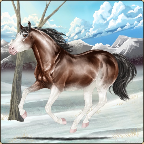 genpic.php?id=41170106&bg=95&decor=Y&v=1765423023
