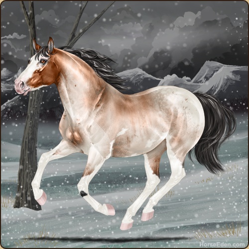 genpic.php?id=41712758&bg=95&decor=Y&v=1765423025