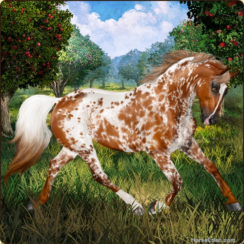 genpic.php?id=41727432&bg=95&decor=Y&v=1759337107