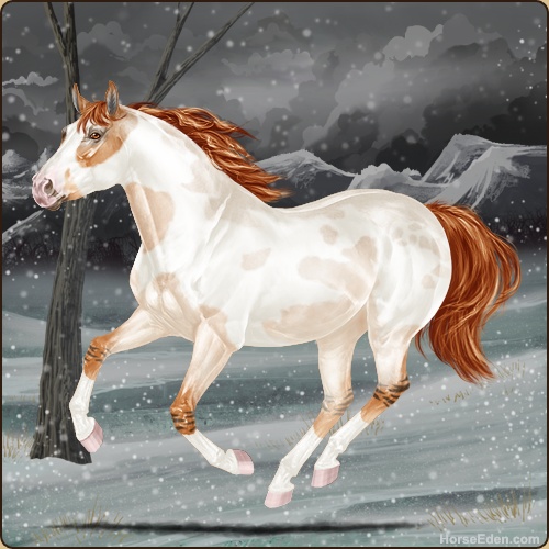genpic.php?id=41800924&bg=95&decor=Y&v=1766605856