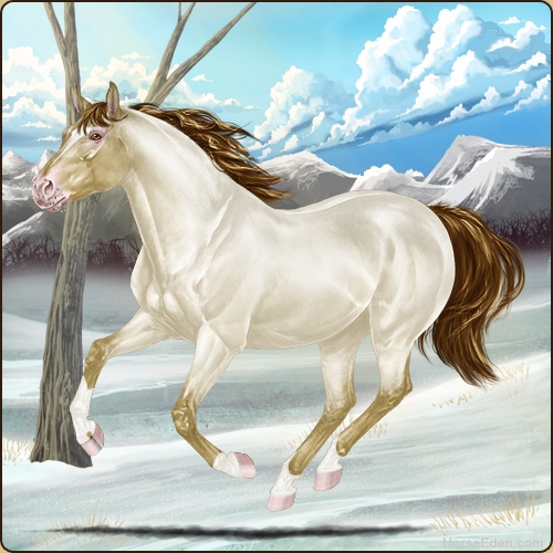 genpic.php?id=41962344&bg=95&decor=Y&v=1765423029