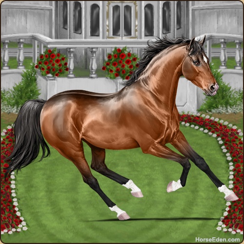 genpic.php?id=34724210&decor=Y&tm=1708188197