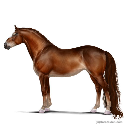 Horse Eden - Online Horse Game