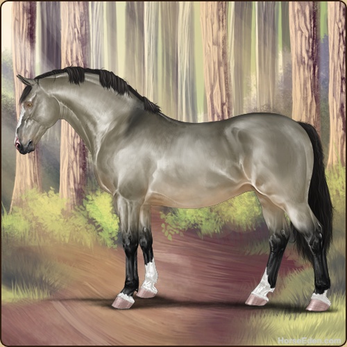 Horse Eden - Online Horse Game