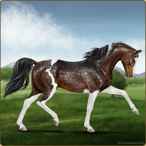 Horse Eden - Online Horse Game