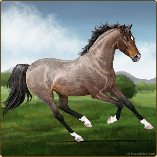 Horse Eden - Online Horse Game