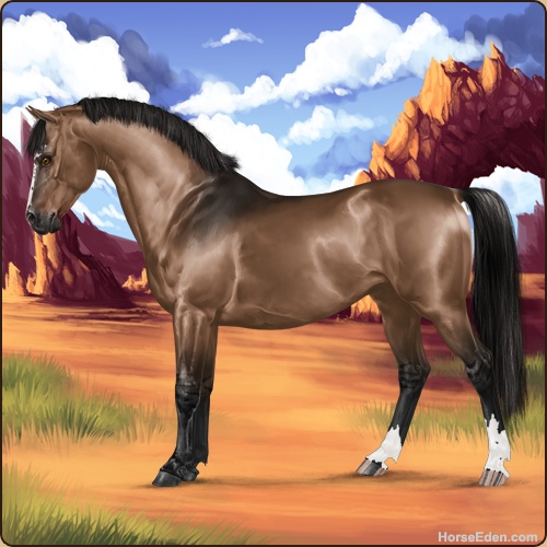 genpic.php?id=20203317&bg=79&decor=Y&tm=1596223153