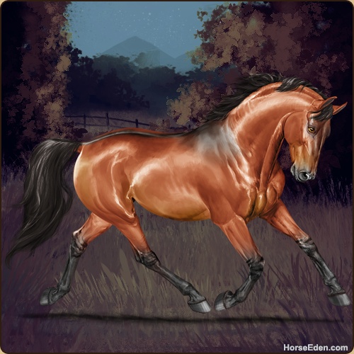 genpic.php?id=20269993&bg=79&decor=Y&tm=1596224178