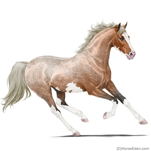 Horse Eden - Online Horse Game