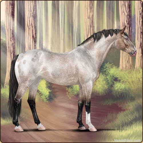 Horse Eden - Online Horse Game