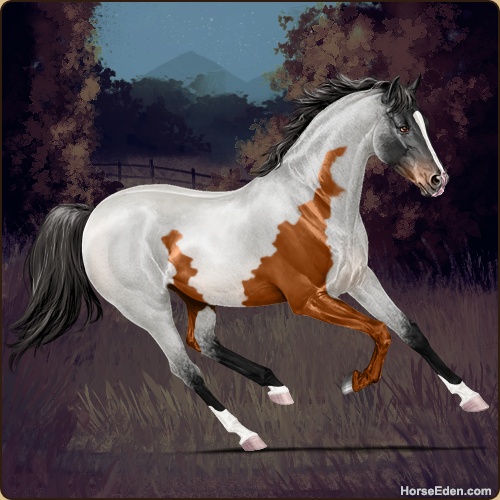 Horse Eden - Online Horse Game