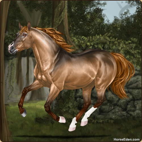 Horse Eden - Online Horse Game