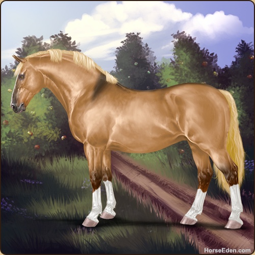 Horse Eden - Online Horse Game