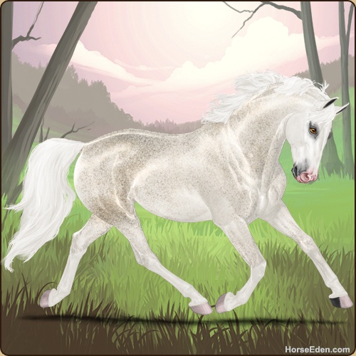 Horse Eden - Online Horse Game