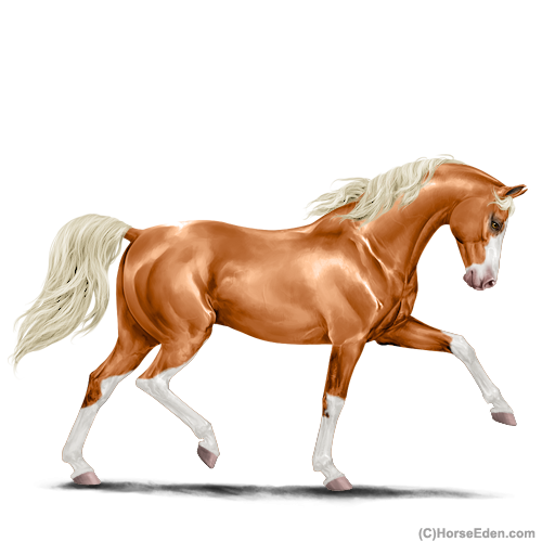 Horse Eden - Online Horse Game