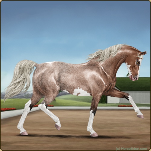 genpic.php?id=24101507&bg=59&decor=Y&tm=1604243445