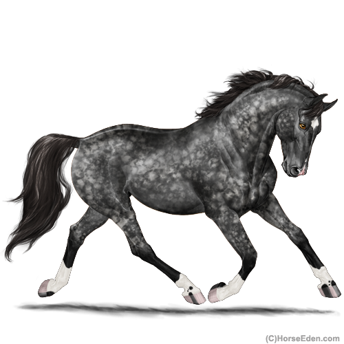 Horse Eden - Online Horse Game