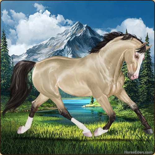 Horse Eden - Online Horse Game