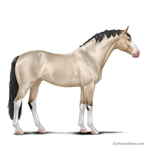 Horse Eden - Online Horse Game