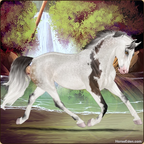 genpic.php?id=37180398&bg=100&decor=Y&tm=1715653373