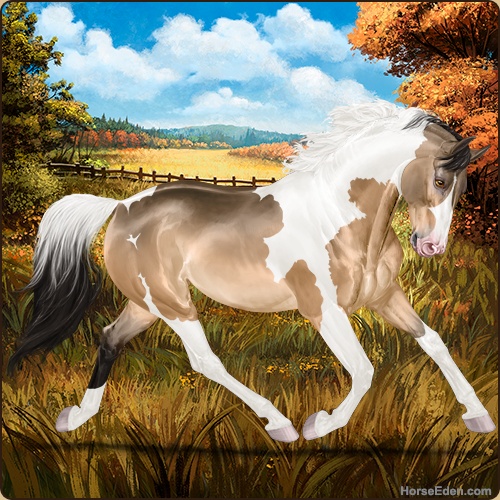 genpic.php?id=37451433&bg=105&decor=Y&tm=1725087256