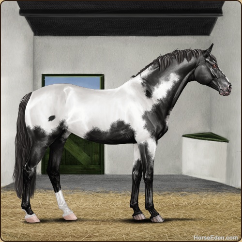 genpic.php?id=38434012&bg=6&decor=Y&tm=1724167904