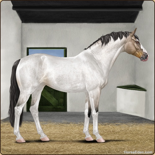 genpic.php?id=38434268&bg=6&decor=Y&tm=1724167108