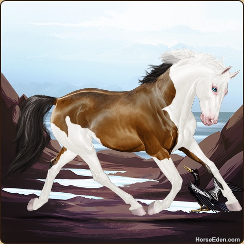 genpic.php?id=40013823&bg=56&decor=Y&tm=1737115648