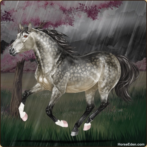 genpic.php?id=40314143&bg=95&decor=Y&v=1761029597