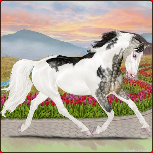 genpic.php?id=40885912&bg=79&decor=Y&v=4