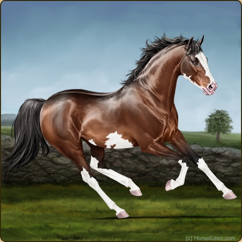genpic.php?id=43738845&bg=79&decor=Y&v=1
