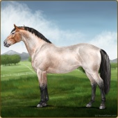 genpic.php?id=44039505&bg=56&decor=Y&w=170&h=170