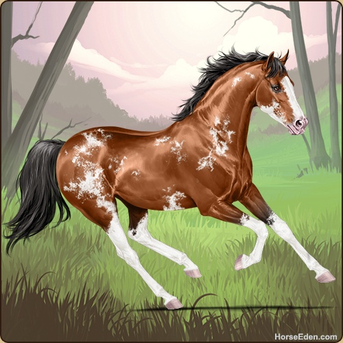 genpic.php?id=44056866&bg=79&decor=Y&v=23