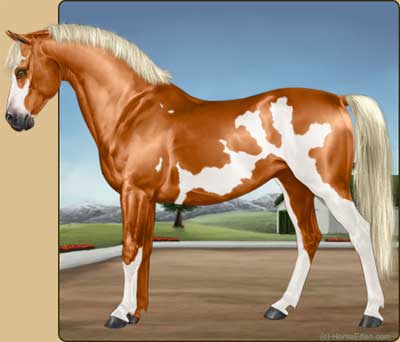 free online horse breeding games no download