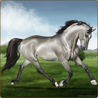 Fun Online Horse Game! - Horse Eden Eventing