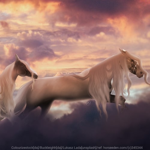 Horse Eden - Online Horse Game